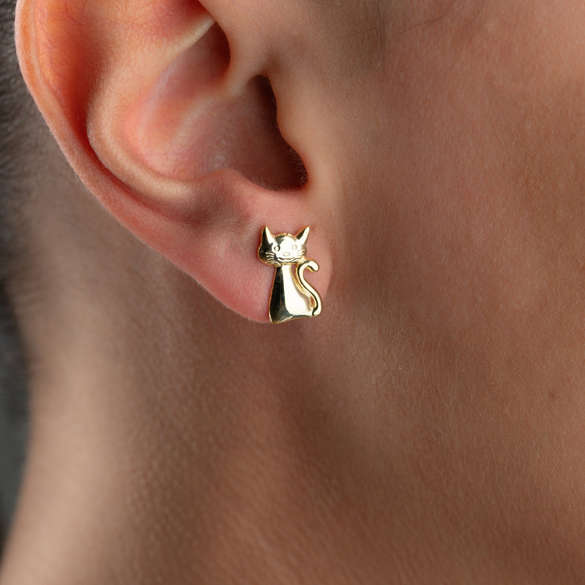 KATTFÄRGNING | 925 SILVER