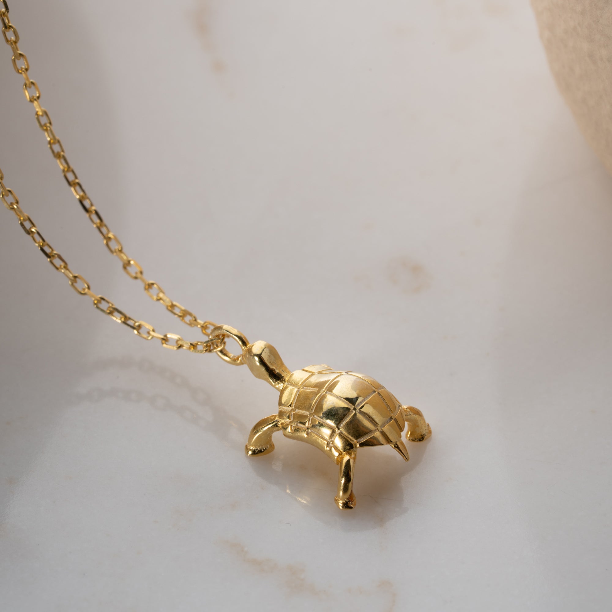 KRAGE för sköldpaddor | 925 SILVER